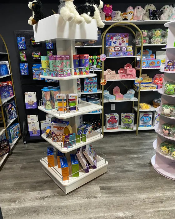 Shelves of games, puzzles, and sensory toys inside Mindspace Toys & Sensory Supports.